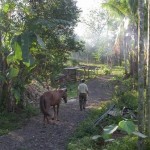 Light The Way- Make a Difference